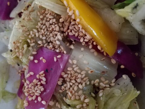 紫キャベツと白菜の和え物